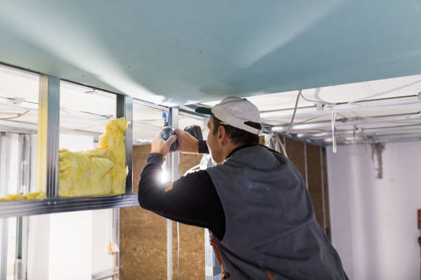 Best Attic Insulation Installation  in Mount Plymouth, FL