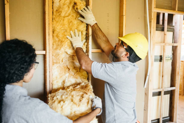 Best Best Insulation Companies  in Mount Plymouth, FL