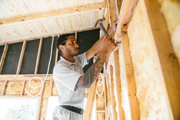 Best Home Insulation Services  in Mount Plymouth, FL