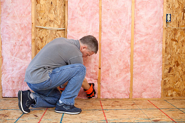 Best Local Insulation Services  in Mount Plymouth, FL