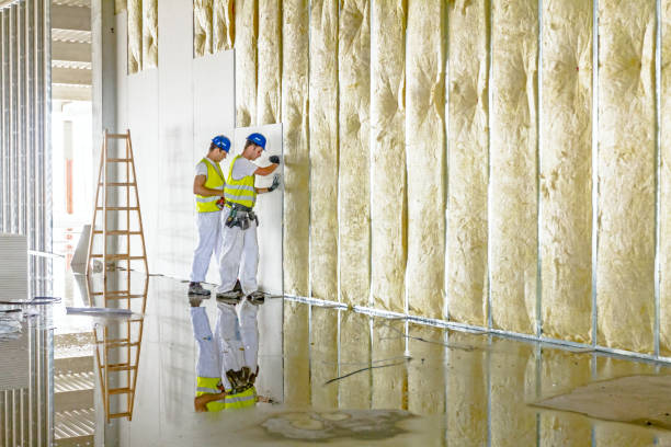 Range of Insulation Solutions in Mount Plymouth, FL